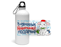 Спортивная бутылка год Кролика №29