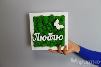 Живая Эко-Картина 1079