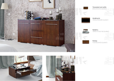 Шкаф-купе Милана 047