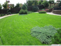 Рулонный газон Классика для дачи