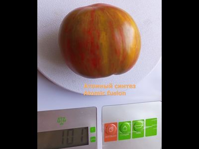 Томат Атомный синтез (Atomic fusion), США