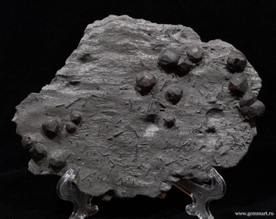 Гранат альмандин-пироповой серии с кристаллами дравита (разн. турмалина) в графитовом сланце. Red Embers mine. USA. 160*120*15мм. Редкость! (ААА)