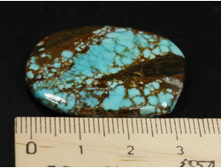 Бирюза, полировка плоская, США, Невада (35*28*5 мм, 8,6 г) №37842