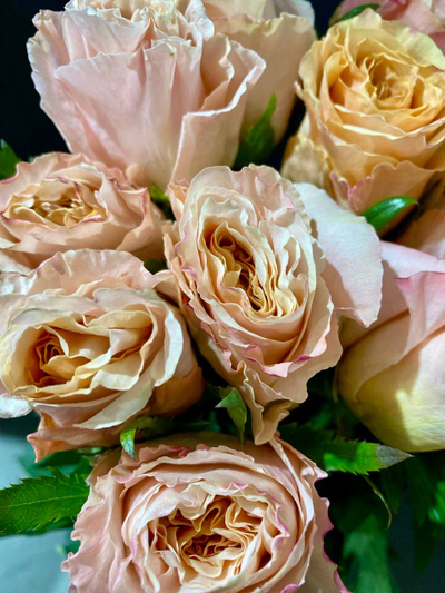 Роза Эквадор  70 см. 15 шт