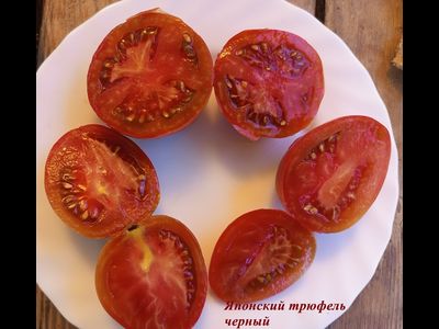 Томат Японский трюфель черный