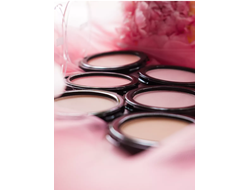 Румяна компактные PRO BLUSH Relouis