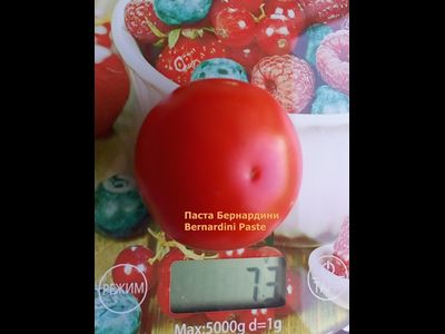 Томат Паста Бернардини (Pasta Bernardini)