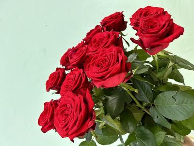 БУКЕТ АЛЫХ РОЗ