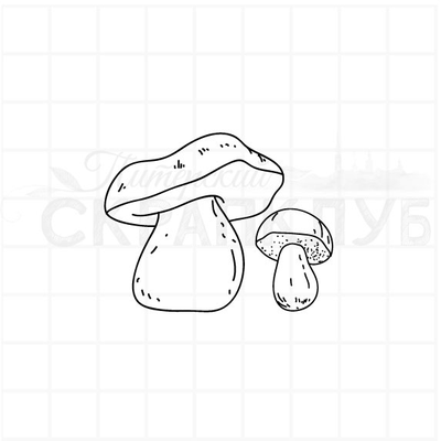 ФП штамп "Боровички"