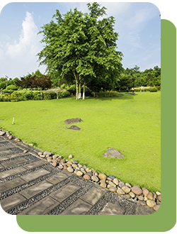 Престиж газон