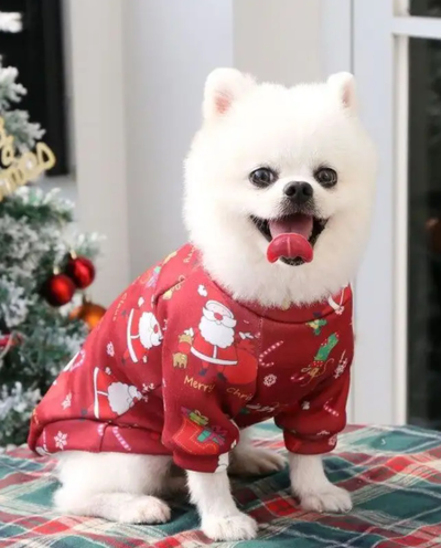 Кофта Picturest Cанта красная