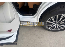 Пороги с накладным листом Папа Тюнинг d53 для JETOUR X70 Plus 2023-