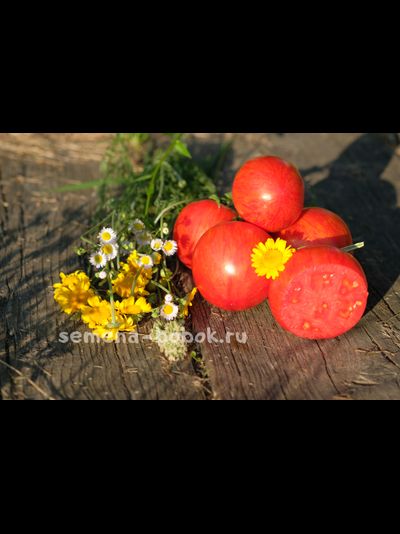 Томат Воловье сердце полосатое, 10 шт.