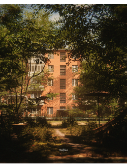 холст "Двор"