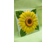 Изразцовая плитка "Подсолнухи" // 15*15