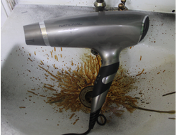 Fan and hairdryer