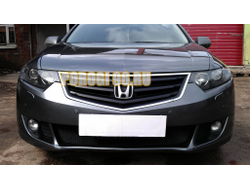 Защита радиатора Honda Accord VIII 2008-2011 black