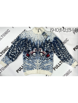 Подростковый свитер на молнии Кони