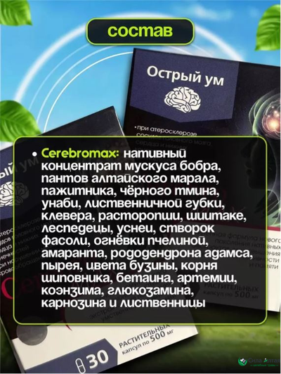 Церебромакс,  для повышения умственной активности, памяти и концентрации