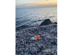 Масло АККОРД: ЭРО-ТОНИК, 3.5 мл