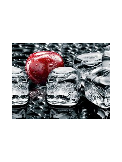 Интерьерная панель №31 "Лед и вишня" глянец 3000*600*1,5мм  АБС