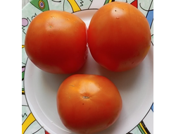 Томат Техас