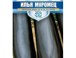 Баклажан Илья Муромец
