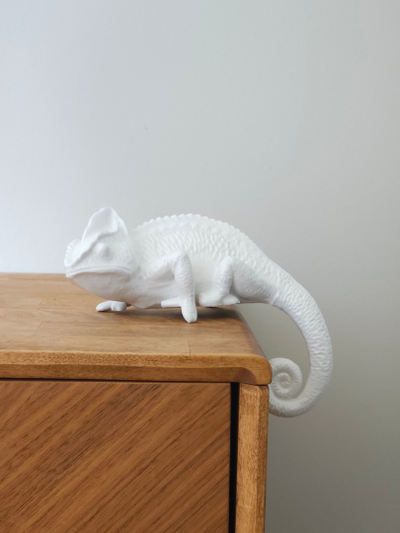 Хамелеон (интерьерный)