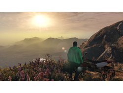 Игра Grand Theft Auto V (PS5)