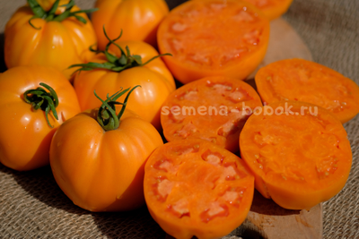 Томат Regalo Dall Italian (Подарок из Италии), 10 шт