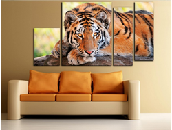 Модульная картина "Отдых тигра"