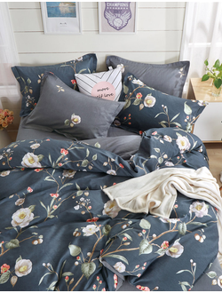 Постельное белье TANGO Twill комплект сатин евро 200x220x1 230x250x1 50x70x2 TPIG3-233