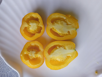 Томат Сливка Бендрика желтая