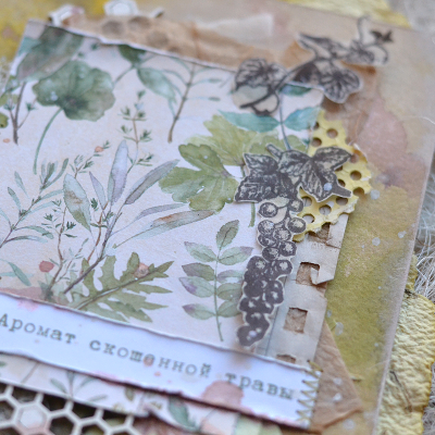 Садово-огородный планинг Екатерины Кучиной