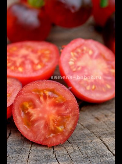 Томат Гондвана Тени, 10 шт