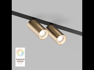 Трековый светильник Denkirs DK8012-BG