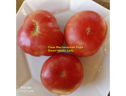 Томат Таинственная леди Dwarf Mystic Lady, Мистическая леди)