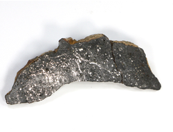 Метеорит "Царёв" в пластиковом боксе, Россия, Волгоградская обл (55*23*4 мм, 8,5 г) №23450