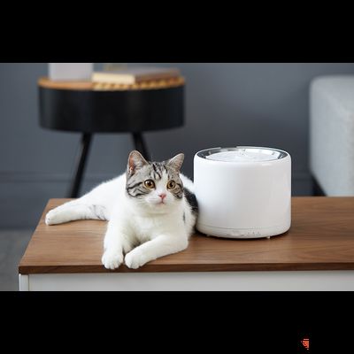 Автопоилка Питьевой фонтан Xiaomi Petkit Eversweet 3
