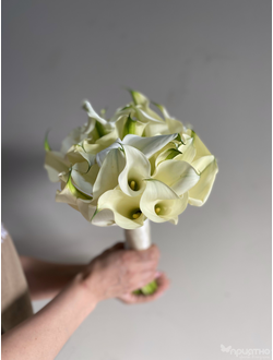 Букет невесты & Бутоньерка 1313