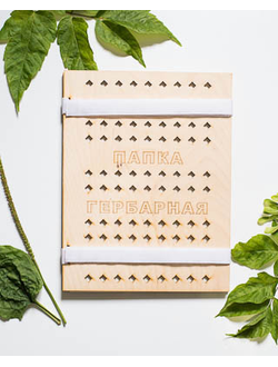 Папка гербарная