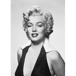 D0364 Мэрилин Монро