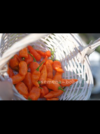 Перец сладкий Habanero Habanada  (Хабанеро Хабанада), 10 шт