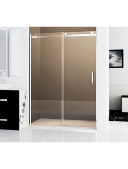 Душевая дверь RGW PA-13, размеры: 1700х1950