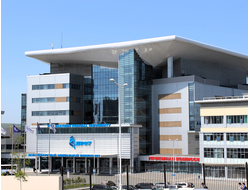 Профориентация для старшеклассников. ДВФУ + МГУ, 2 дня.