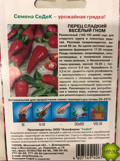 Перец сладкий "Веселый гном" (неприхотлив, подходит для улицы)