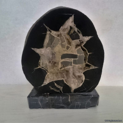 Септария - полированный спил. Россия. 242*210*130мм