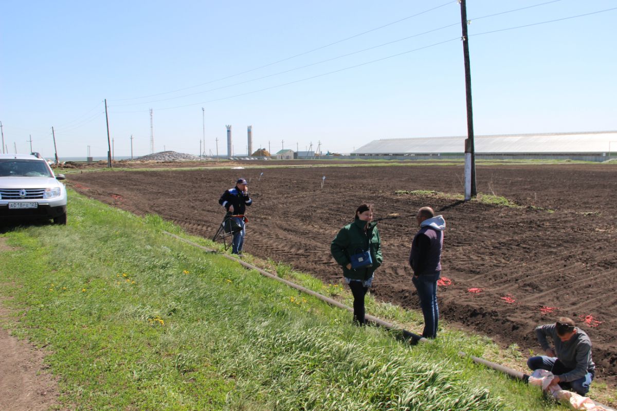 Агросопровождение компанией ООО "ИПА "Отбор" в Липецкой области