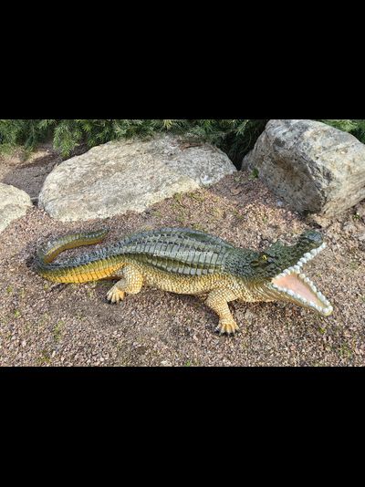 Крокодил 15*40см   1,2кг   полистоун Россия 1844/012457*