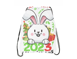 Сумка-мешок для обуви год Кролика №35